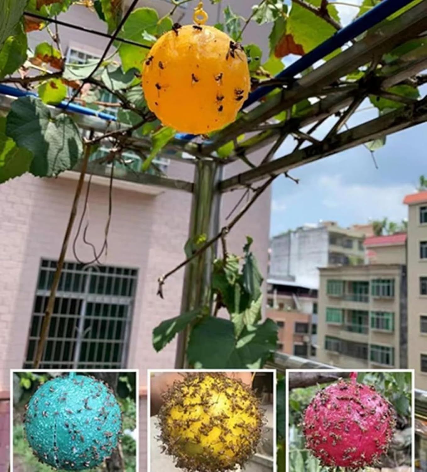 Boules Collante Anti-Insectes