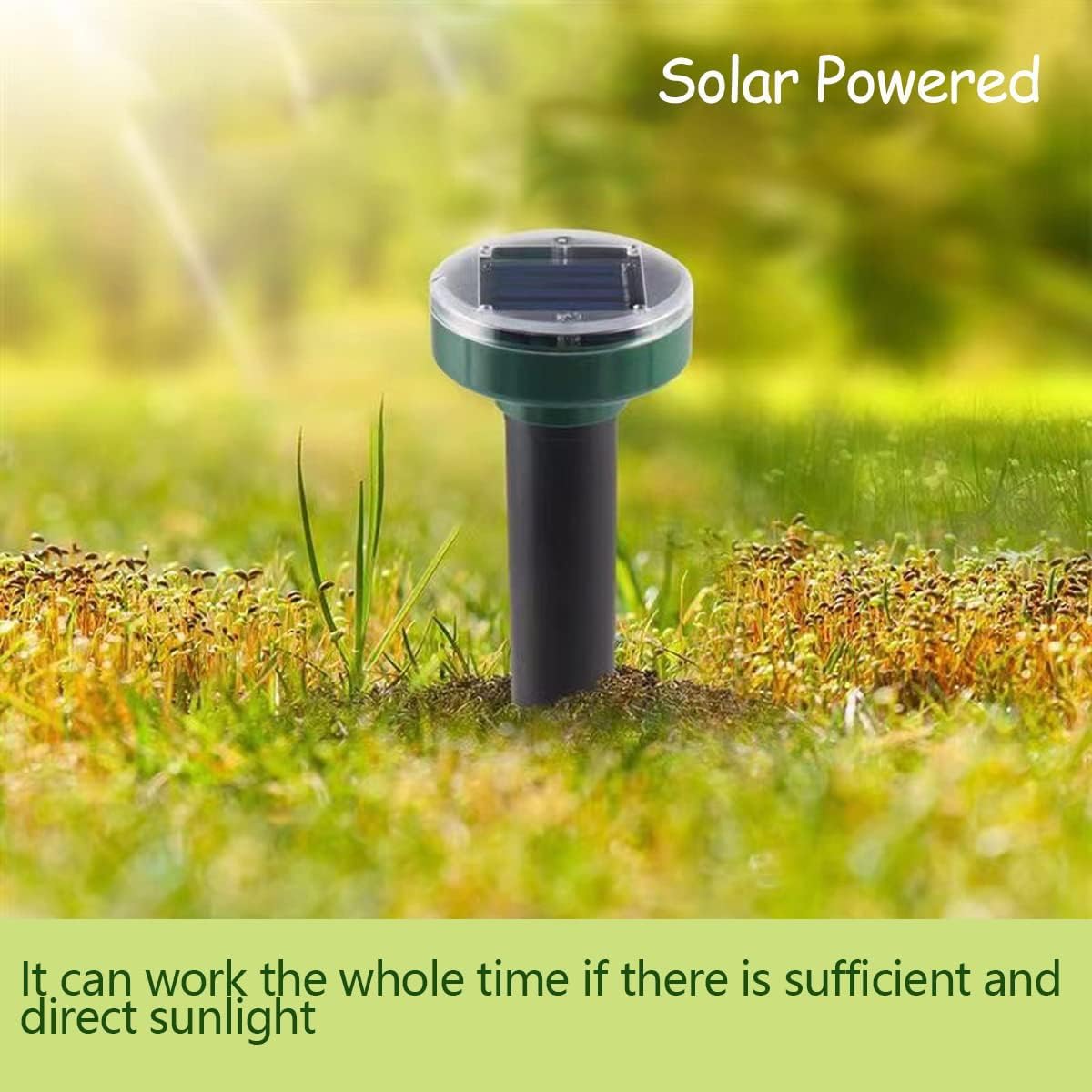 Répulsif Anti-Taupe Solaire