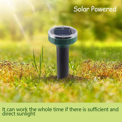 Répulsif Anti-Taupe Solaire