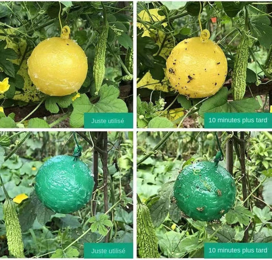 Boules Collante Anti-Insectes