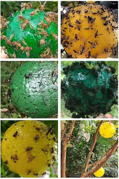 Boules Collante Anti-Insectes