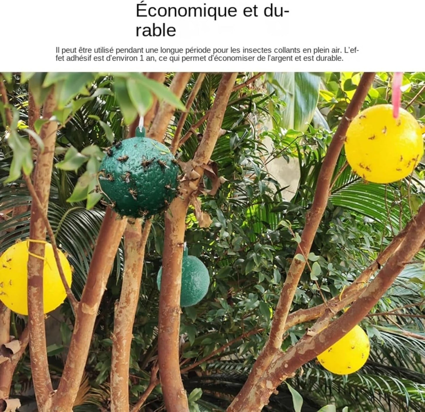 Boules Collante Anti-Insectes