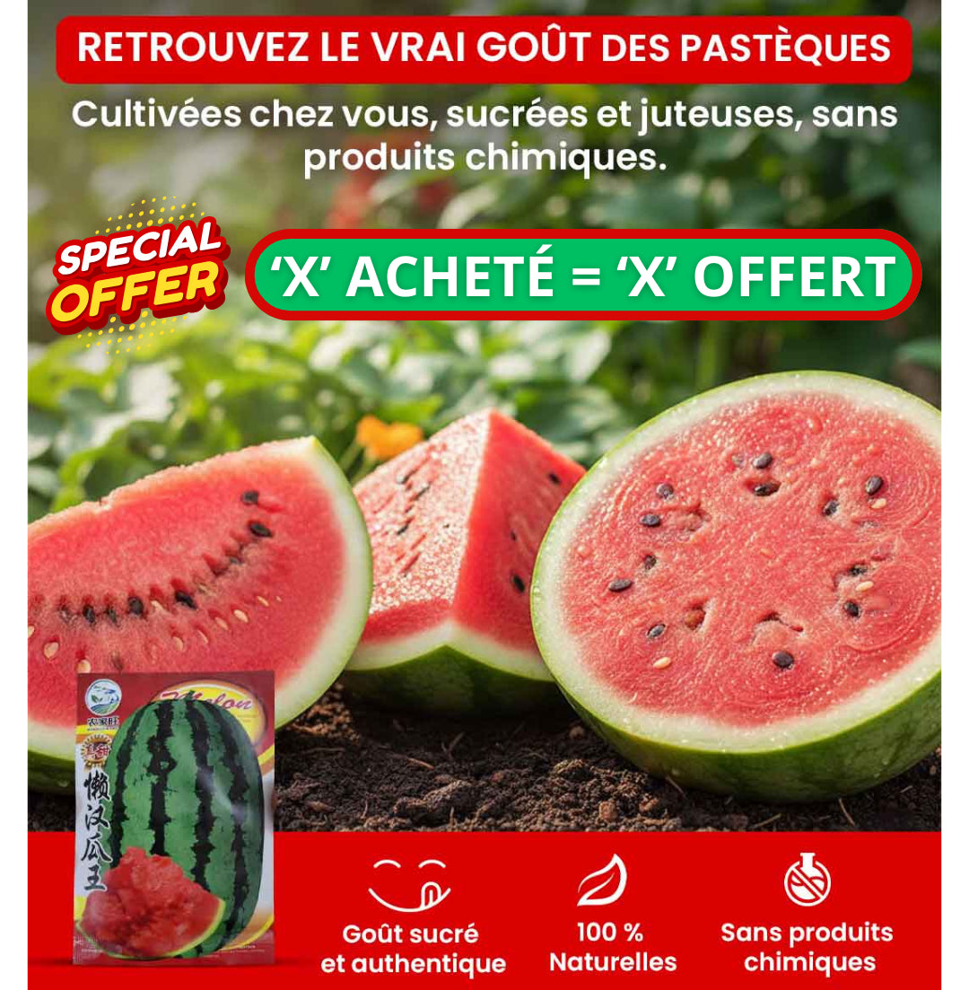 Graines 100% Naturelles Pastèque