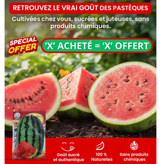 Graines 100% Naturelles Pastèque